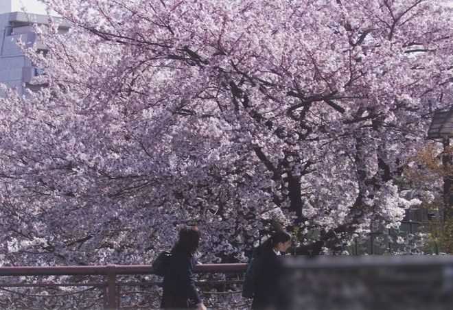 日本电影推荐_文艺爱情电影推荐_岛国爱情电影有哪些