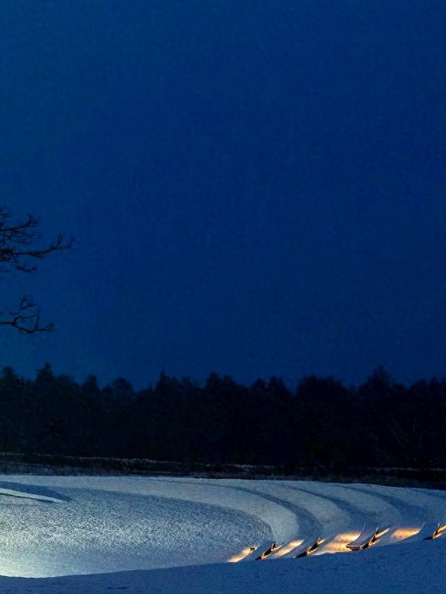 近期射手座压力大，工作家庭琐事多，来看看如何应对芊诺星座芊诺星座网