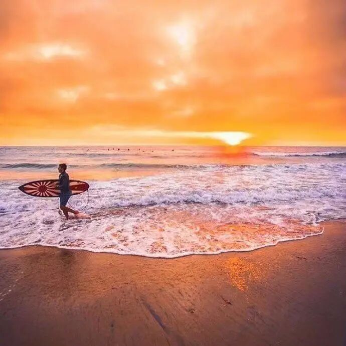 金牛座和双鱼座合得来_双鱼男跟什么星座最配_狮子座和双鱼座匹配
