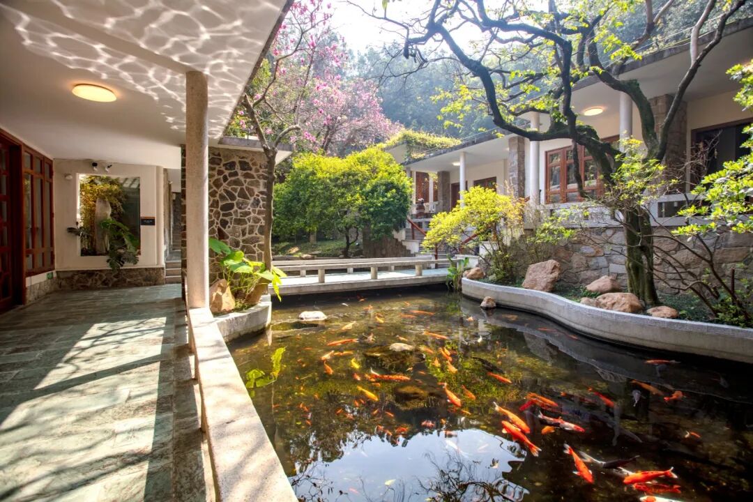 白云区四星旅店_广州山庄旅舍四星评定_广州三元里附件的酒店