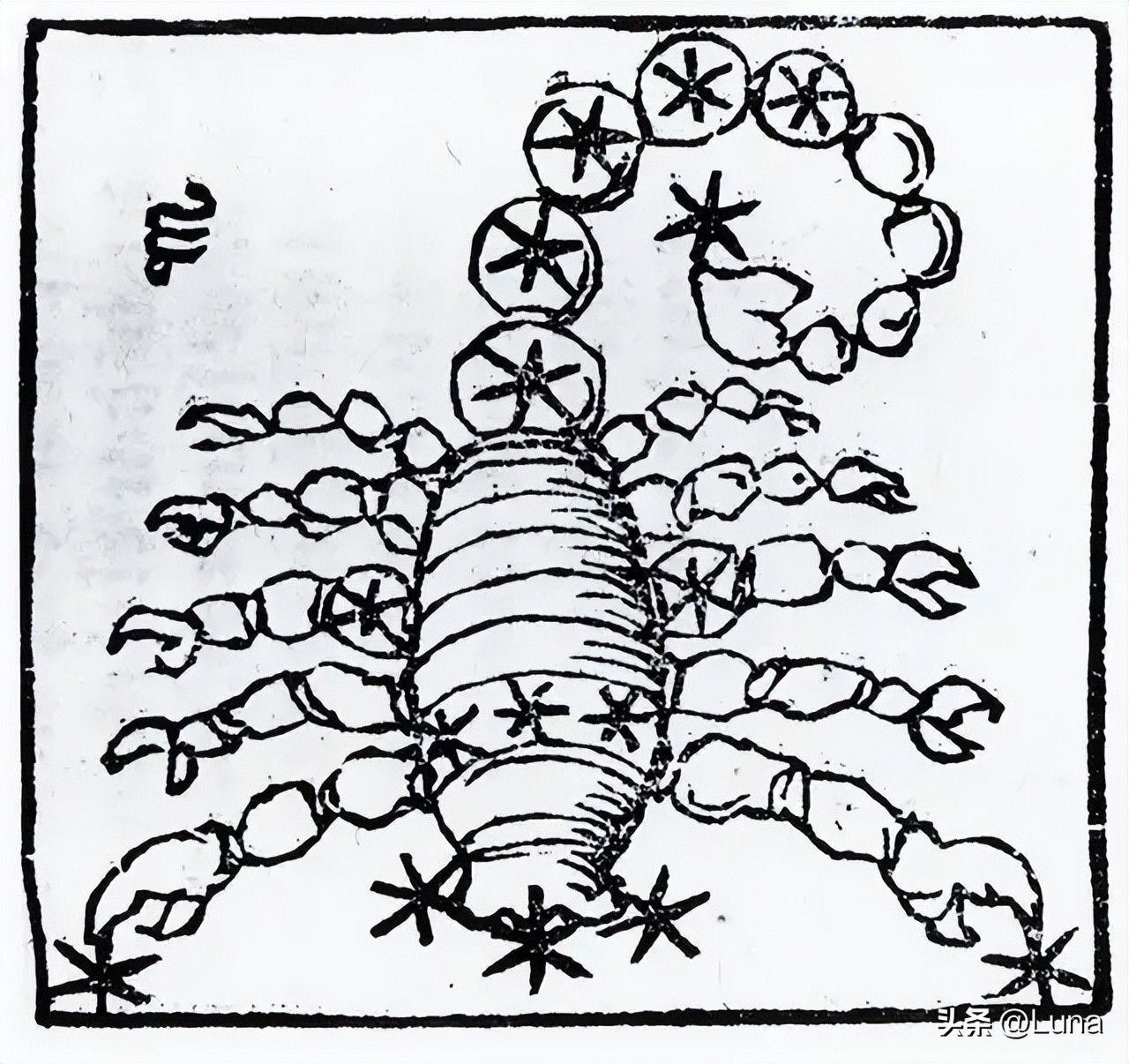 12星座人物代表公主_巨蟹座宠妻方式_最会宠老婆的星座