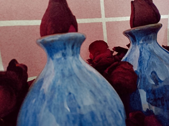 12星座人物代表公主_公主命与公主病区别_水瓶座公主命分析