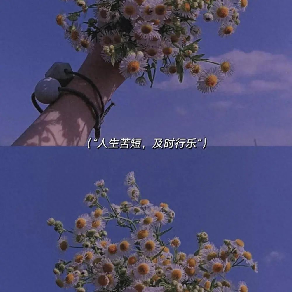 职业需求_星座月亮代表什么_月亮星座