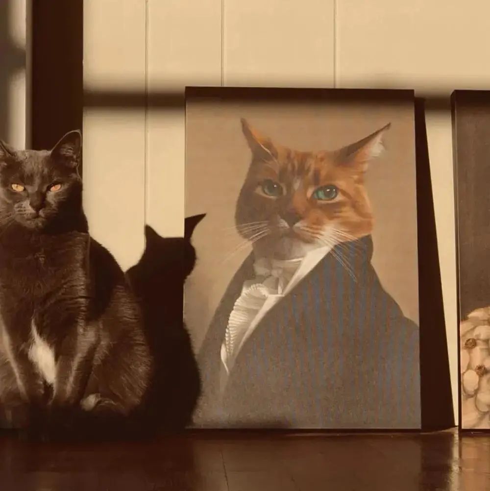 职业需求_星座月亮代表什么_月亮星座