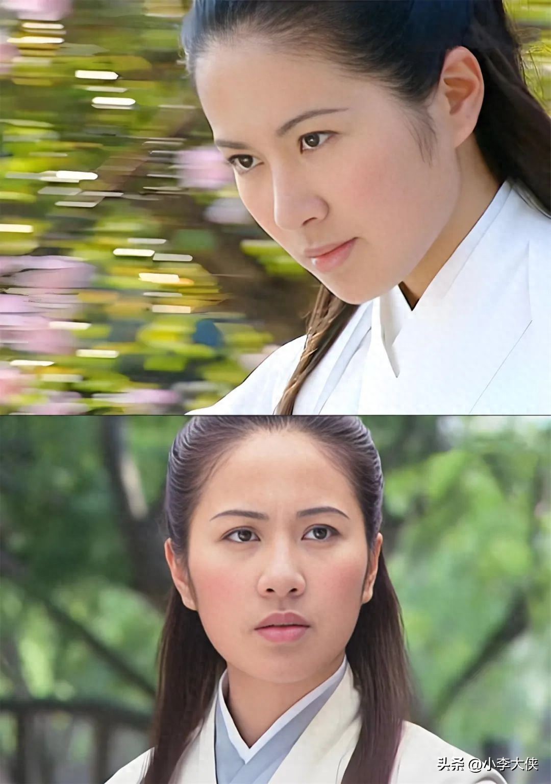 天下第一天涯是主角_天下第一 上官海棠 柳生雪姬