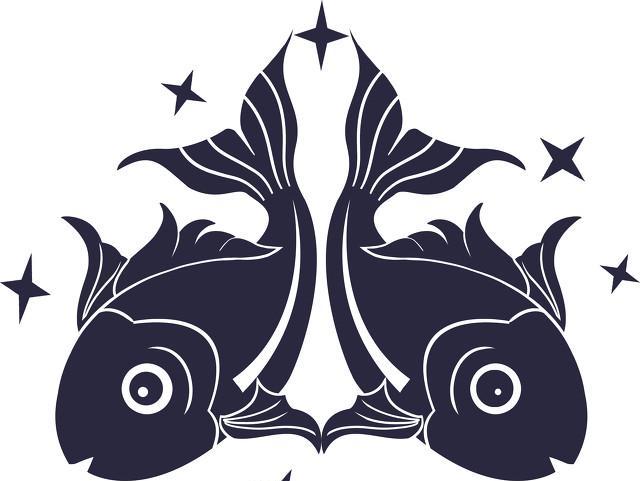 星座宠妻方式_宠妻新定义_12星座代表什么公主