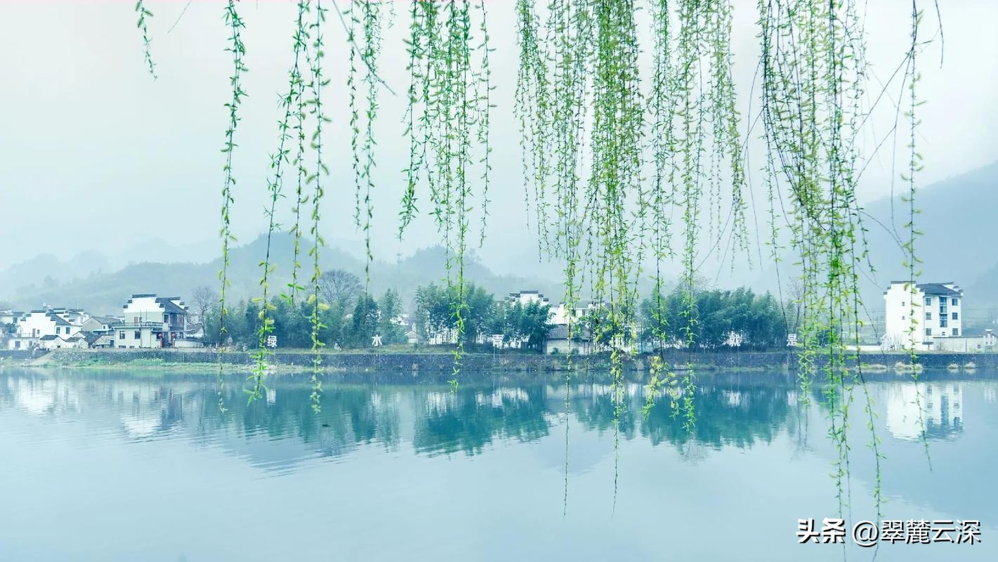 宋词蝶恋花赏析_宋词蝶恋花十首_蝶恋花柳永赏析情感