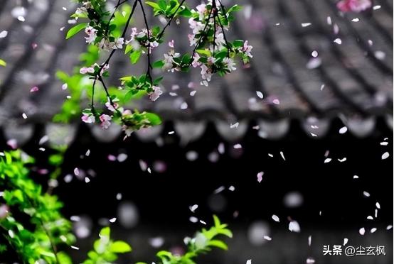 苏轼蝶恋花伤春意境_蝶恋花柳永赏析情感_苏轼蝶恋花春景赏析