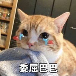 星座具体划分_:中国十二星次_阴历生日星座对应