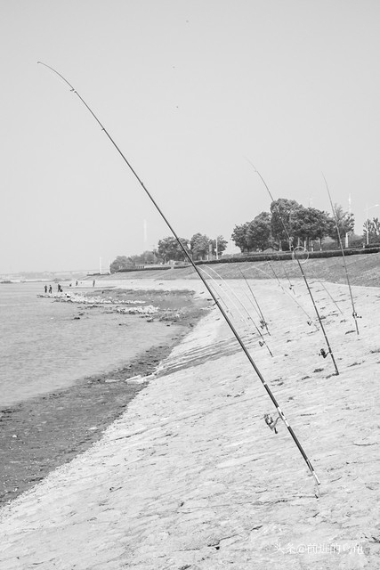 遗传基因与后天环境对个性影响_个性的形成与改变_员工个性心理与管理